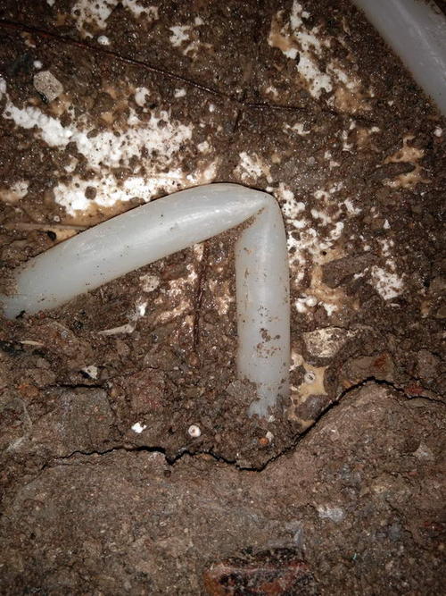 将乐堵点精准查找